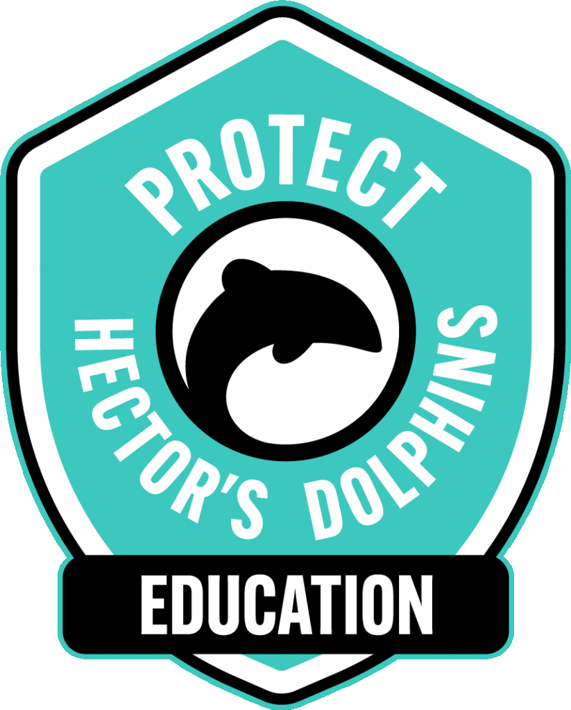 black cat cruises education programme