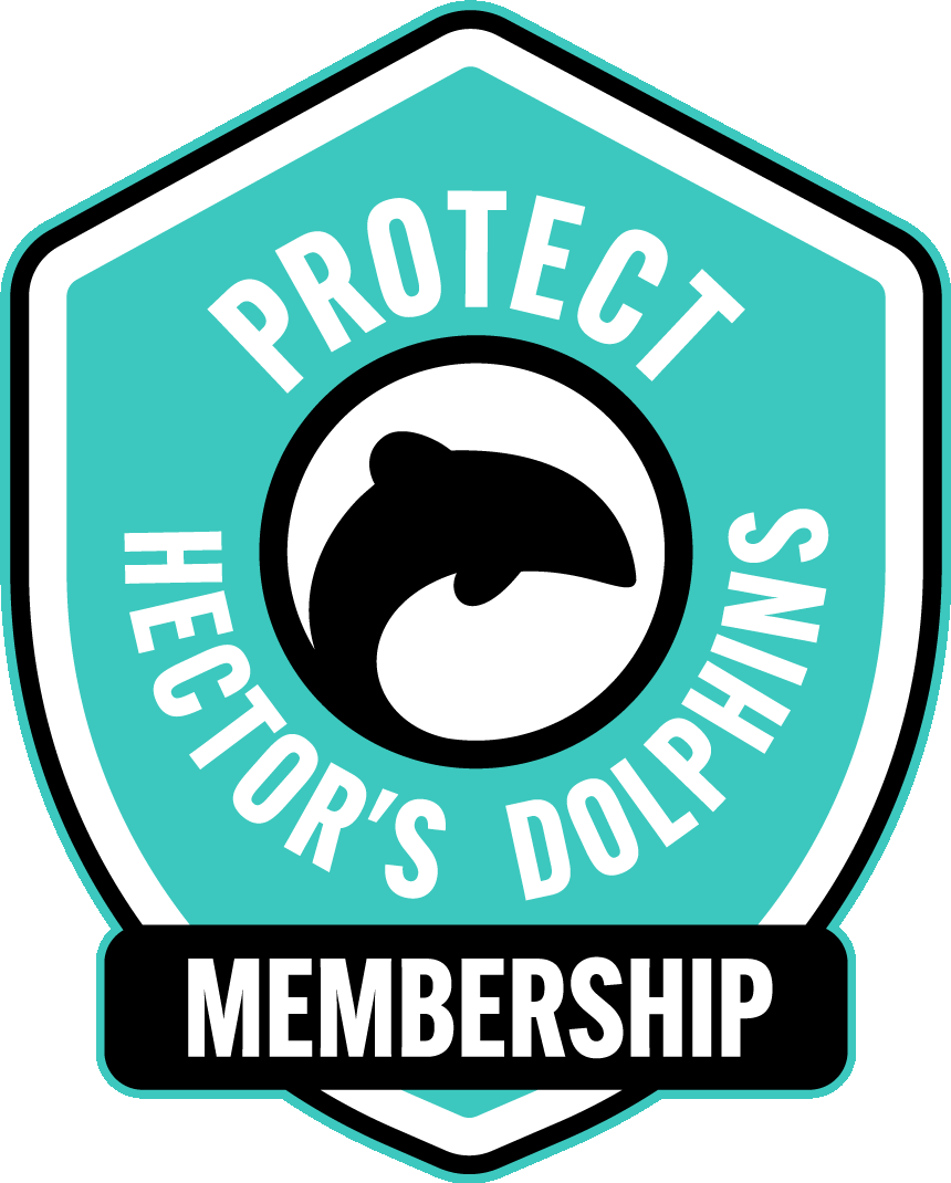 adopt a dolphin hectors dolphins