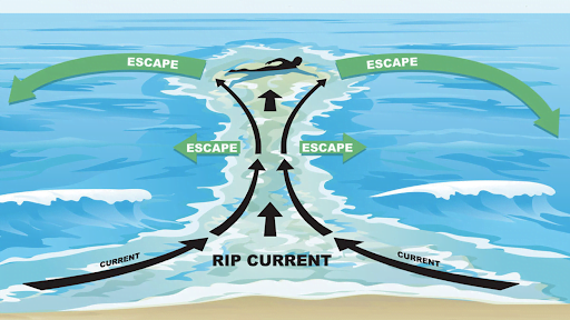 water safety what to do in a rip