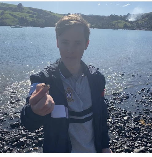 akaroa crabbing