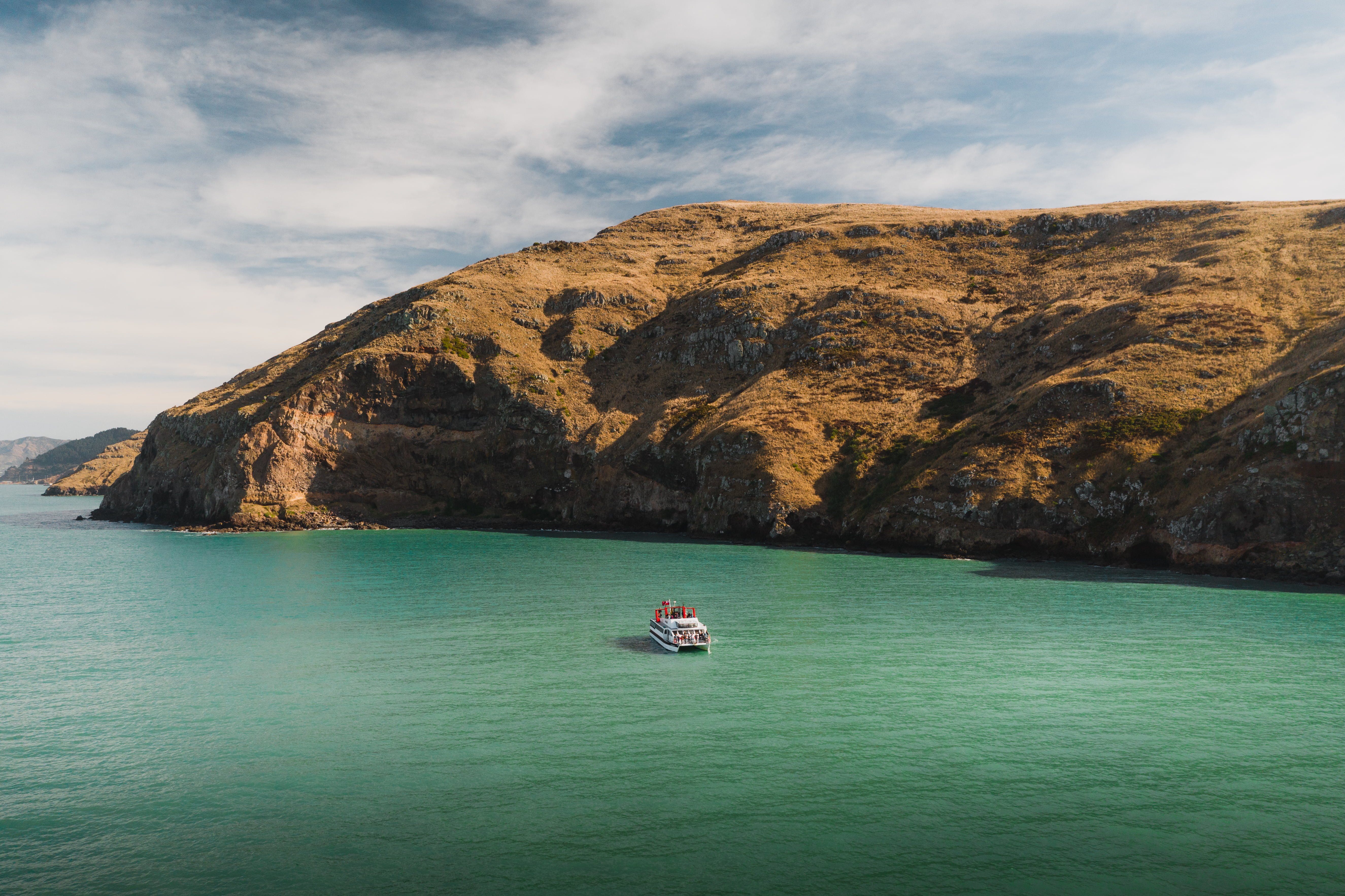 LYTTELTON HARBOUR DISCOVERY CRUISE