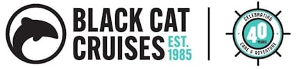 Black Cat Logo