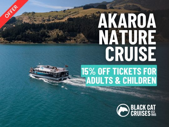 Akaroa Nature Cruise Autumn Special