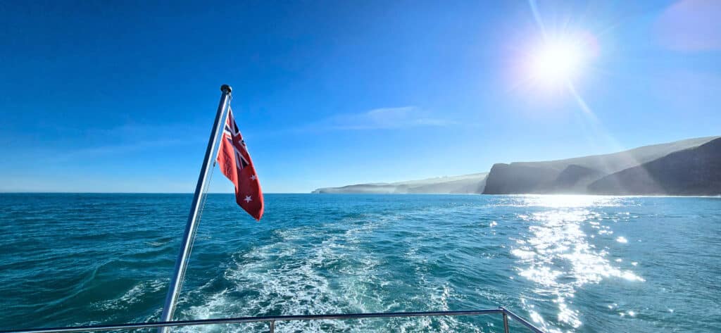 Things to do in Akaroa in winter