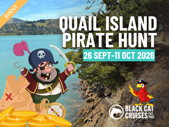 Quail Island Pirate Hunt