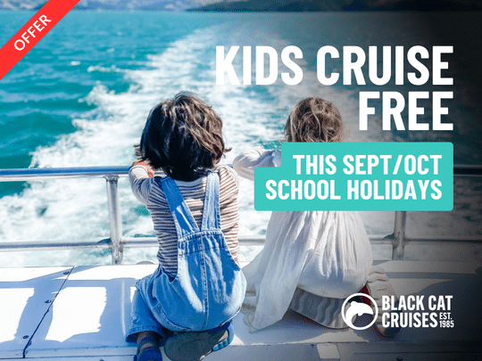 Kids Cruise Free